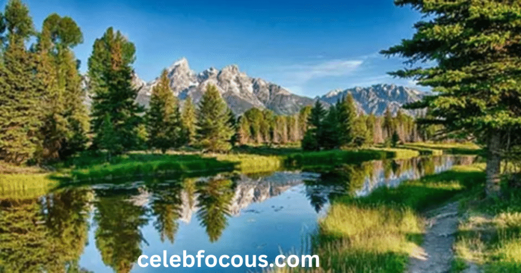 The Investigative Life-Story Format Changing Modern Biography Writing:
