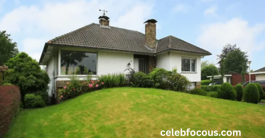 Marianna Orlovsky and the DM Storm:
