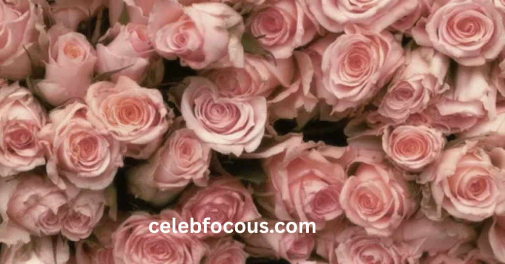 Celebrity Memoir Books  How the Federline Spears Drama Is Fueling the Tell-All Boom
